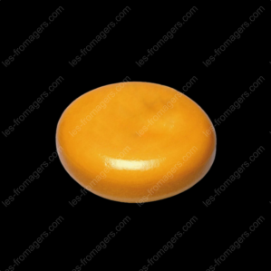 Gouda extra fruité + 7 mois meule