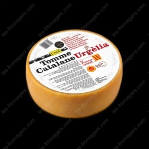 tomme catalane