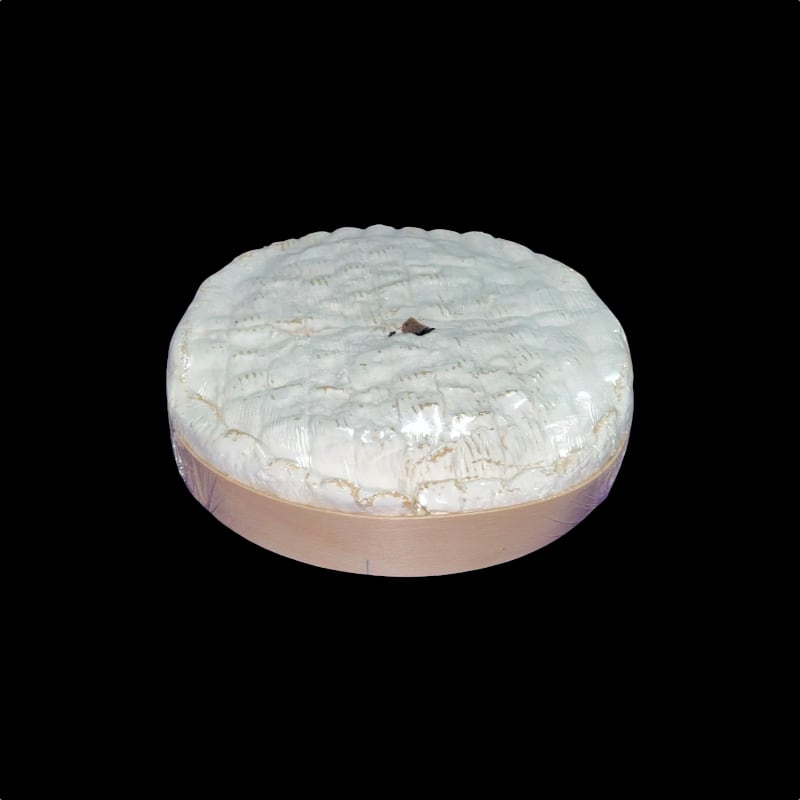 petit morin aÌ€ la truffe2