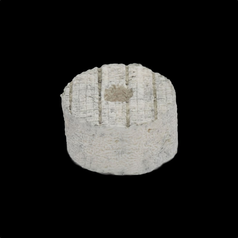Fromage Petite rouelle du Tarn CendrÃ©e unitaire LE PIC