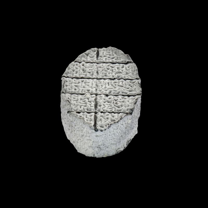 Fromage XV du pic cendrÃ© 110g