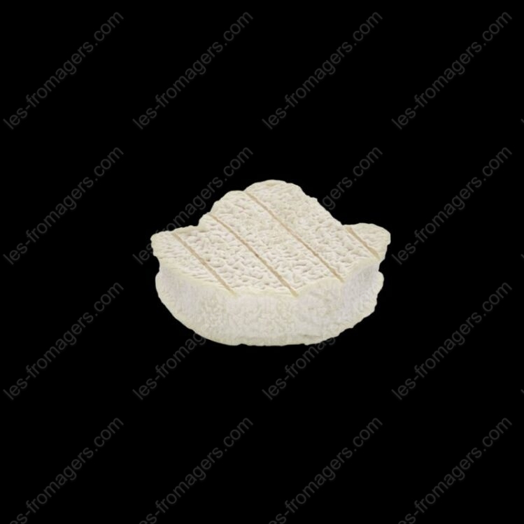 fromage pic blanc 90g