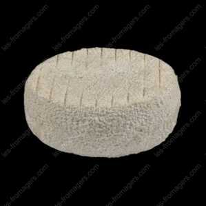 Fromage tome Lou Pennol affineÌ