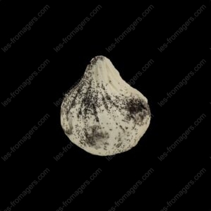 Figuette cendré 65g x12