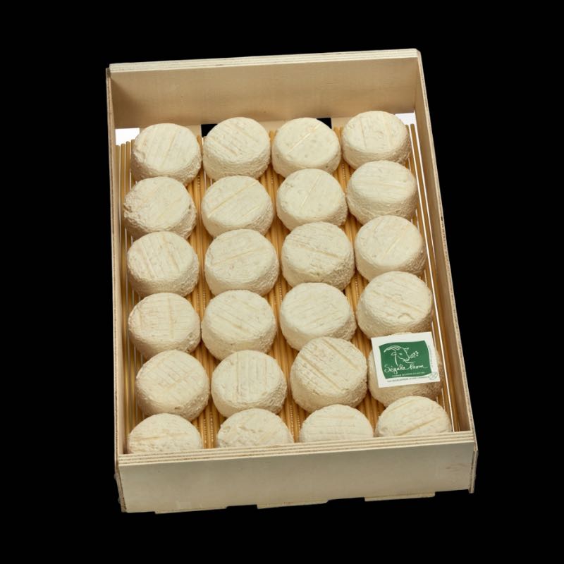 Mini Cabécou 35g X 24 – Image 2