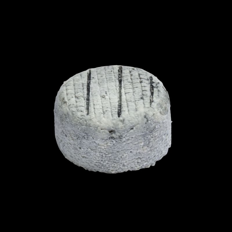 Fromage cabrÃ©ou cendrÃ© 140g