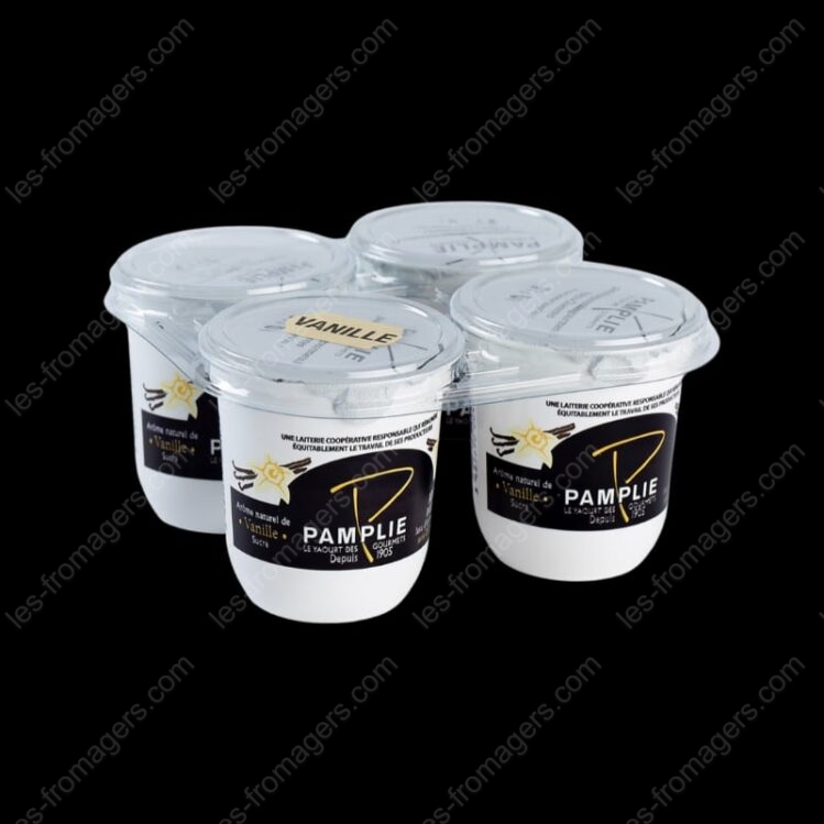 Yaourt brasseÌ vanille (lot de 4 pots de 125g) 500 g