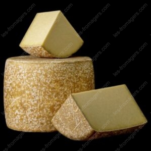 Fromage Cantal entre deux AOP plusieurs format de coupe