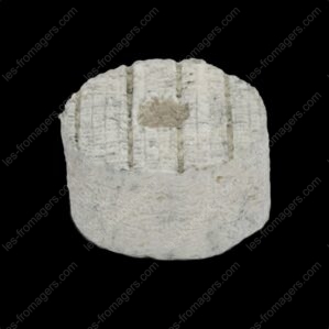 Fromage petite rouelle cendrée