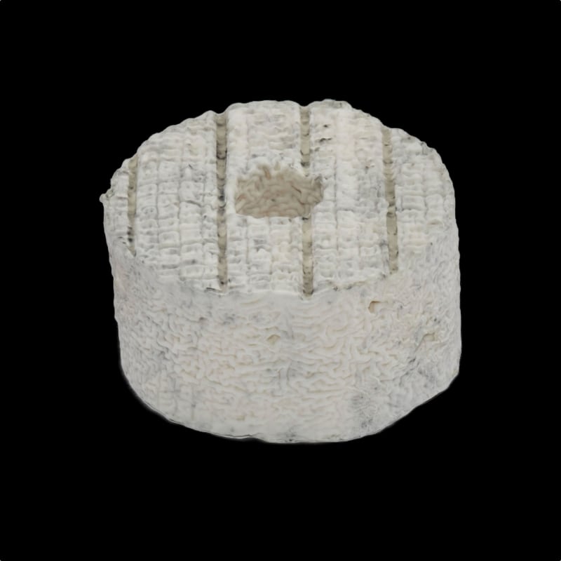 Fromage petite rouelle cendrée