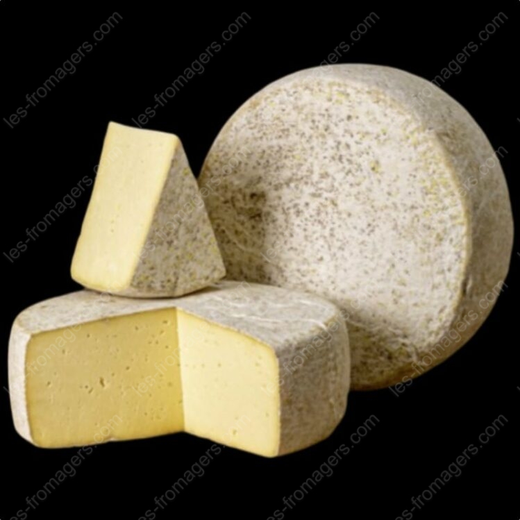 Fromage Tome de Rilhac croutÃ©e plusieurs format de coupe